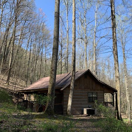 Little Mountain Hideaway Cabin Пиджен Фордж Екстериор снимка